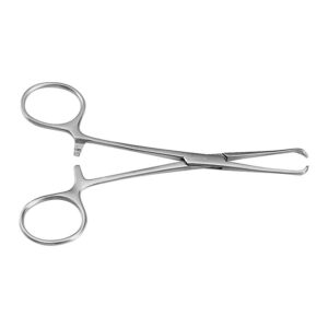 CHAPUT seizing forceps