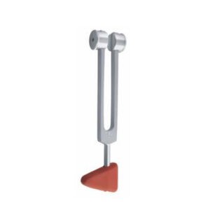 Tunning Fork Taylor 128