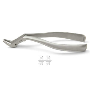 Meissner extracting forceps