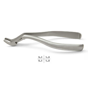 Meissner extracting forceps