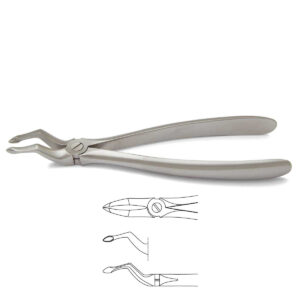 Extracting forceps