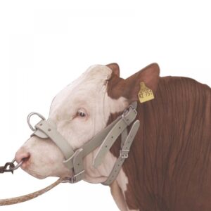 H 101 Bull Halter made